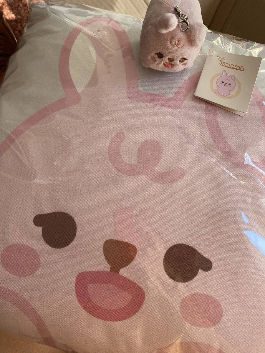 wonfeels1's tweet photo. just received my EOD MDs 🥰🥰🥰 Pil is so cute and the pillow is HUGE!! https://t.co/7XfIT0UGAW