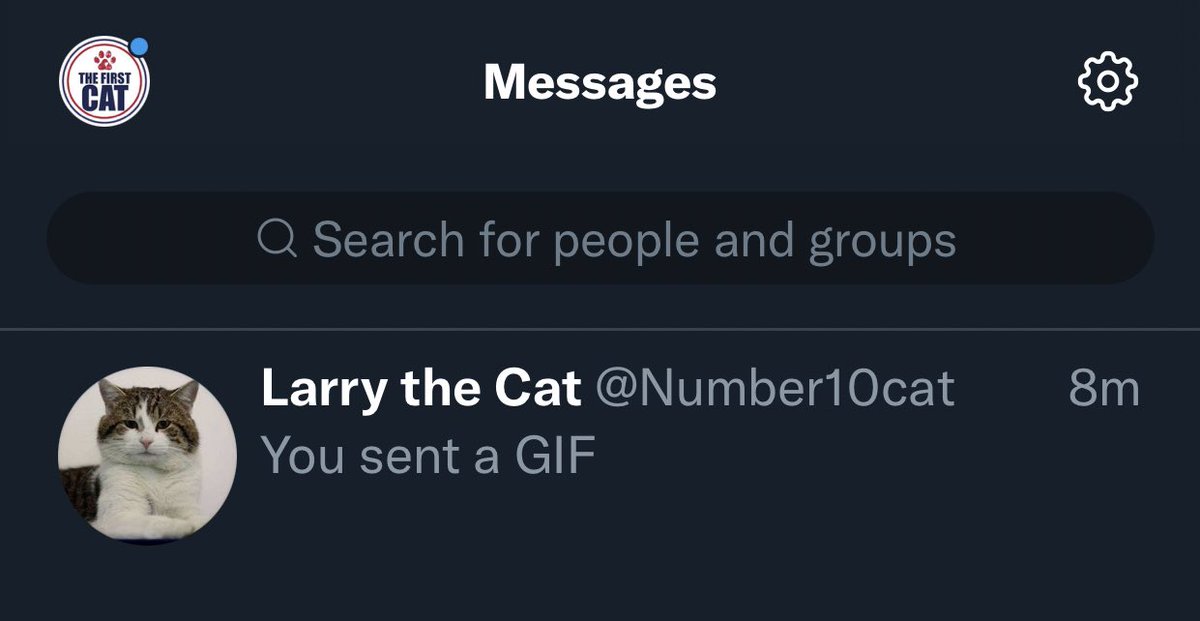 TheFirstCatUS's tweet photo. Had to shoot my shot. https://t.co/OU3GGhl8QF