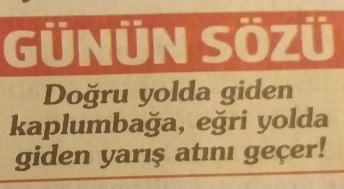 Suzan Şen Saral (@saralsuzan) on Twitter photo 
