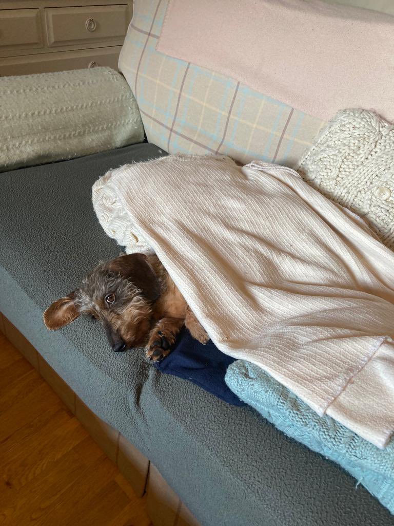 King of my castle 😜 👋#sausagearmy