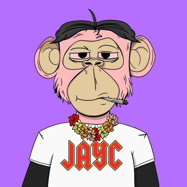 💵MASSIVE #NFTGiveaway💵

‼️9,999 Junior Apes designated with a purpose to help feed 🦧 in captivity 

🎁Giving away 5x Junior Ape YC #NFTs + 10 WL spots

1️⃣❤️+ RT
2️⃣Follow <a href="/JuniorApeYC/">Junior Ape Youth Club</a> &amp; me
3️⃣Tag 3 friends 

🦍Discord: discord.gg/2KerghQe

⏳48h

#NFT #NFTdrop #NFTCommunity