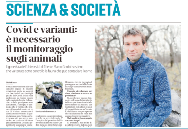 UniTrieste's tweet photo. #COVID19 Su @il_piccolo l'intervista al nostro genetista Marco Gerdol, che per il futuro raccomanda la massima attenzione sul fronte della circolazione del virus e del possibile sviluppo di ulteriori varianti.

Qui un'anteprima, l'articolo nel giornale in edicola oggi https://t.co/HElPejO5Kl