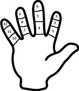 DARSの12進数、ずっと「なんで12なんだよ!?」って思ってたら、親指で親指以外の指関節を数えると12になんだよね はぁ〜なるほど〜!と思ってしまった 片手で数えると確かにこれは12になるわと感心してしまった 