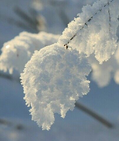 Снежки белые пушистые