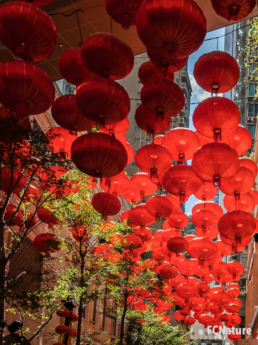 FCNature's tweet photo. Happy Lunar New Year!
Welcome to the Year of the Tiger🐯 https://t.co/NoVeCYe8Un
