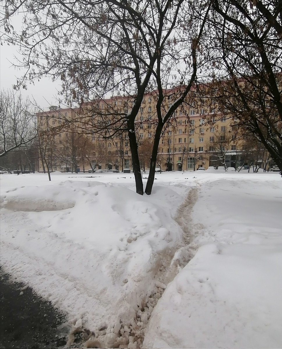 Сергей Семёнович <a href="/MosSobyanin/">Сергей Собянин</a>, нельзя ли уточнить у <a href="/prefsao/">Префектура САО</a> до конца какой недели, какого месяца, сезона года почистят эти козьи тропы хотя бы 1 раз за зиму? Выход из арки дмитровское шоссе 25, пешеходные дорожки к остановке и подзем.переходу