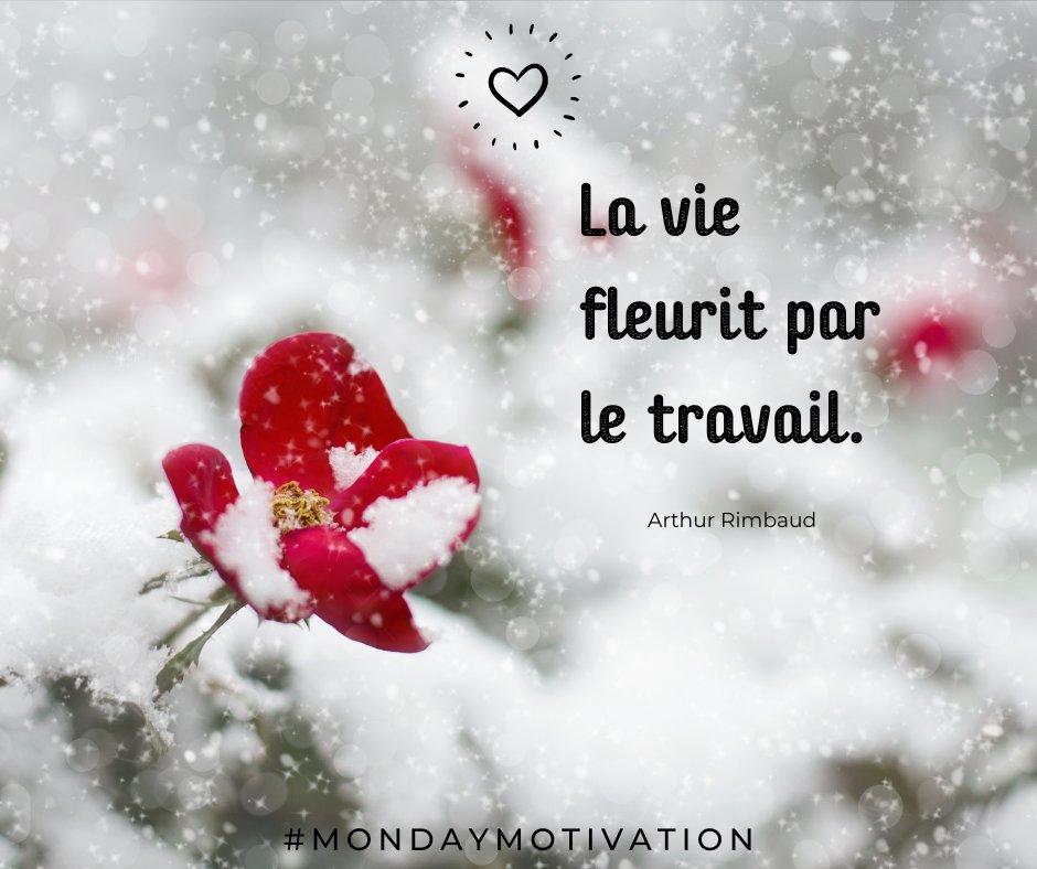 AREHA13601934's tweet photo. [monday motivation]

Pendant que certains s'apprêtent à profiter des plaisirs de l'hiver, notre équipe reste fidèle au poste pour vous accompagner dans vos projets.  Belle semaine à tous. 

#Areha #BET #Thermique #Fluides #hiver #mondaymotivation https://t.co/A5rnrtMqCQ