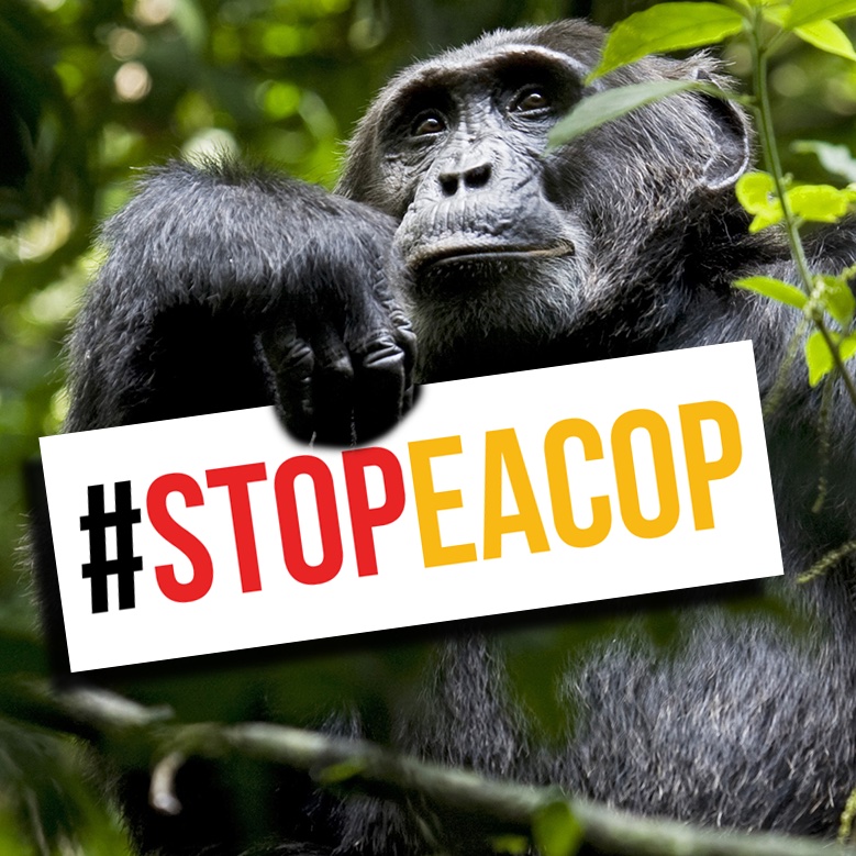 stopEACOP's tweet photo. The only thing #TrulyUgandan about the EACOP and oil in Uganda will be the environmental, social, livelihood, climate, and economic impacts to be faced by Ugandans.

All the profits will go to Total Energies and CNOOC.

#StopEACOP https://t.co/8vI39k1nNS