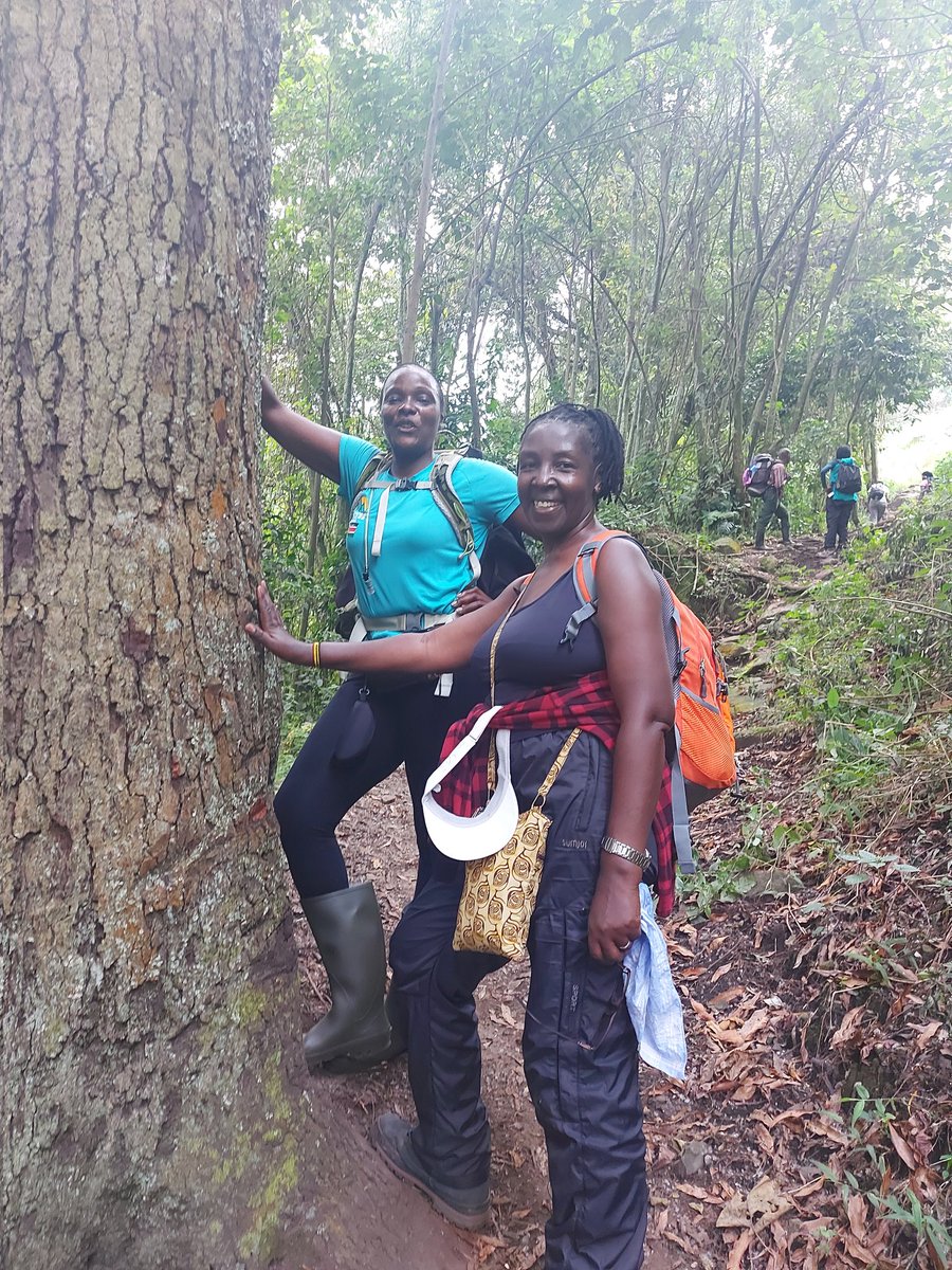 This is how it started.. It was a collabo.. Bright eyed &amp; bushy tailed.. Rwenzori 🤩🤩