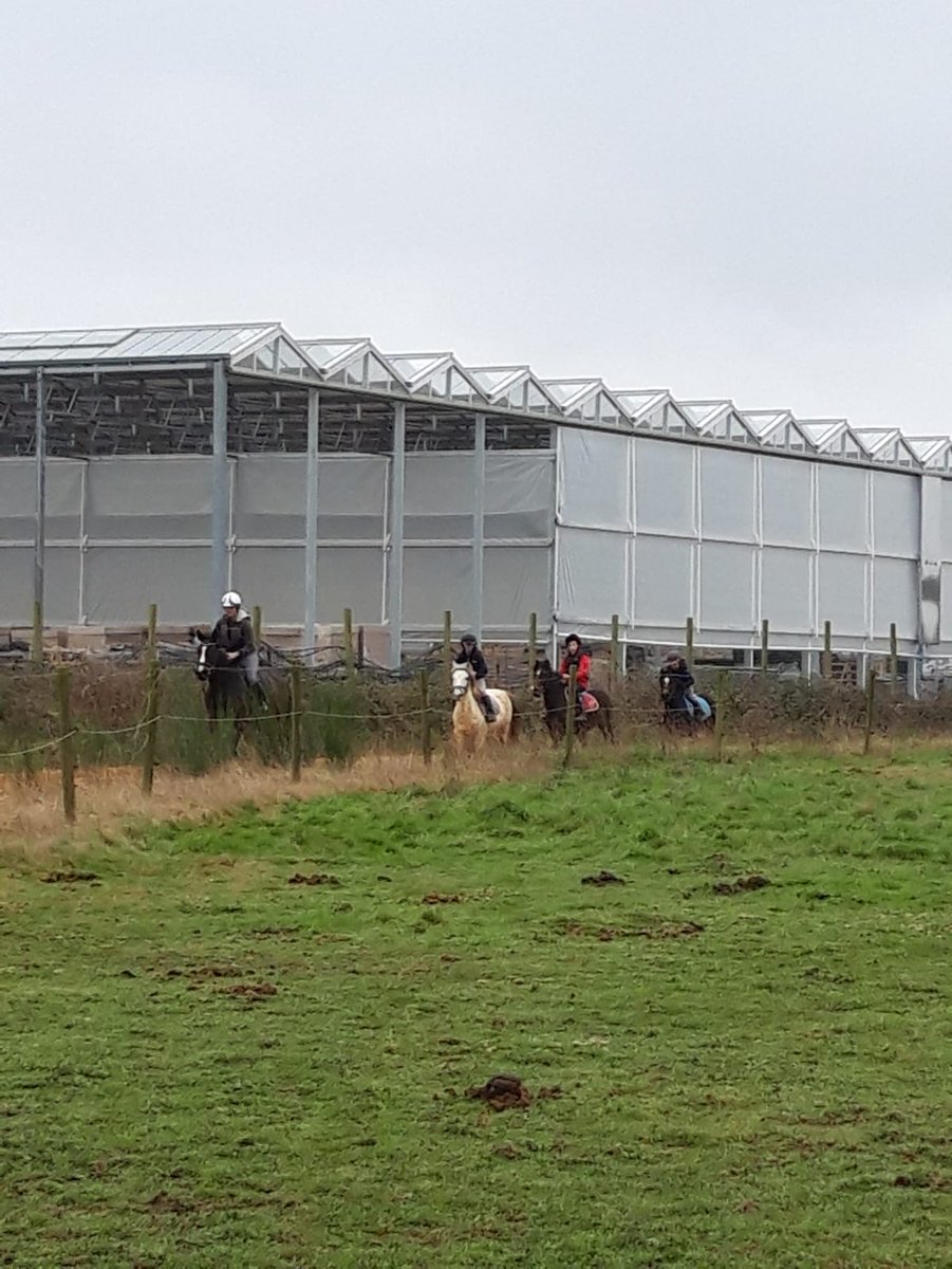 Saison stages #coursesponeys lancée. Guerande