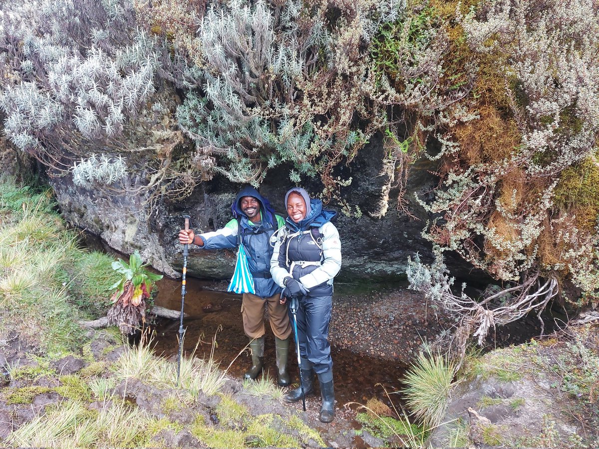 Mountainslayers's tweet photo. Bujuku Camp.. The weather was still holding up. Unbelievable! Still high in spirits as we prepared for what lay ahead. Margherita peak. You eluded us in September 2021 and prayerfully hoped this would be a different experience https://t.co/tZDrqwmJap