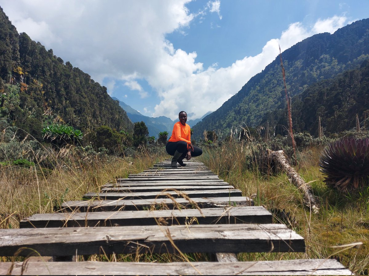 Day 2 we moved from Nyabitaba to John Matte. Can't believe how sunny the day was. Truly enjoyed this beauty of a range. Day 3 we embarked on the boardwalks as we moved to Bujuku Camp. We were photo ready and happy to soak it all