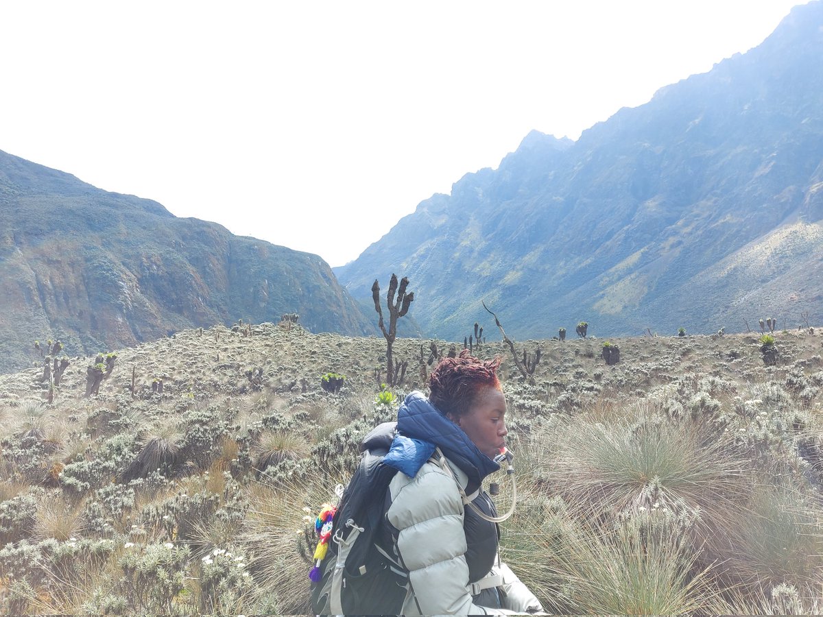 Mountainslayers's tweet photo. Journey to Ellena Camp. Another gloriously dry day. Soaking in all the mountain had to offer. The surrounding peaks visible and seemingly cheering us on and wishing us well. https://t.co/3XzYmMiGAU