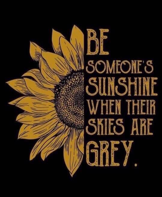 positivelimeri1's tweet photo. Good morning #positivelimerick #limerick #sunshine #smile https://t.co/cma9K6V3D4