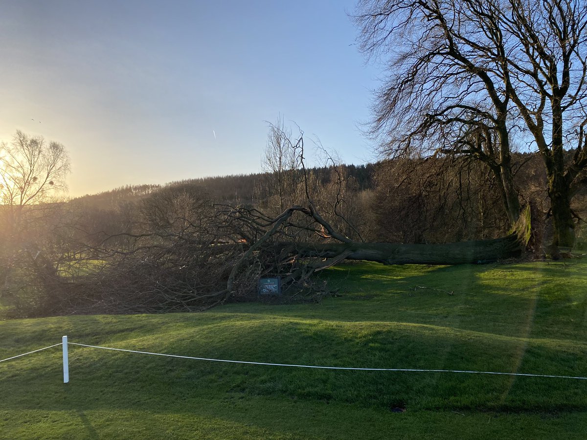 Chris Wood tweet media