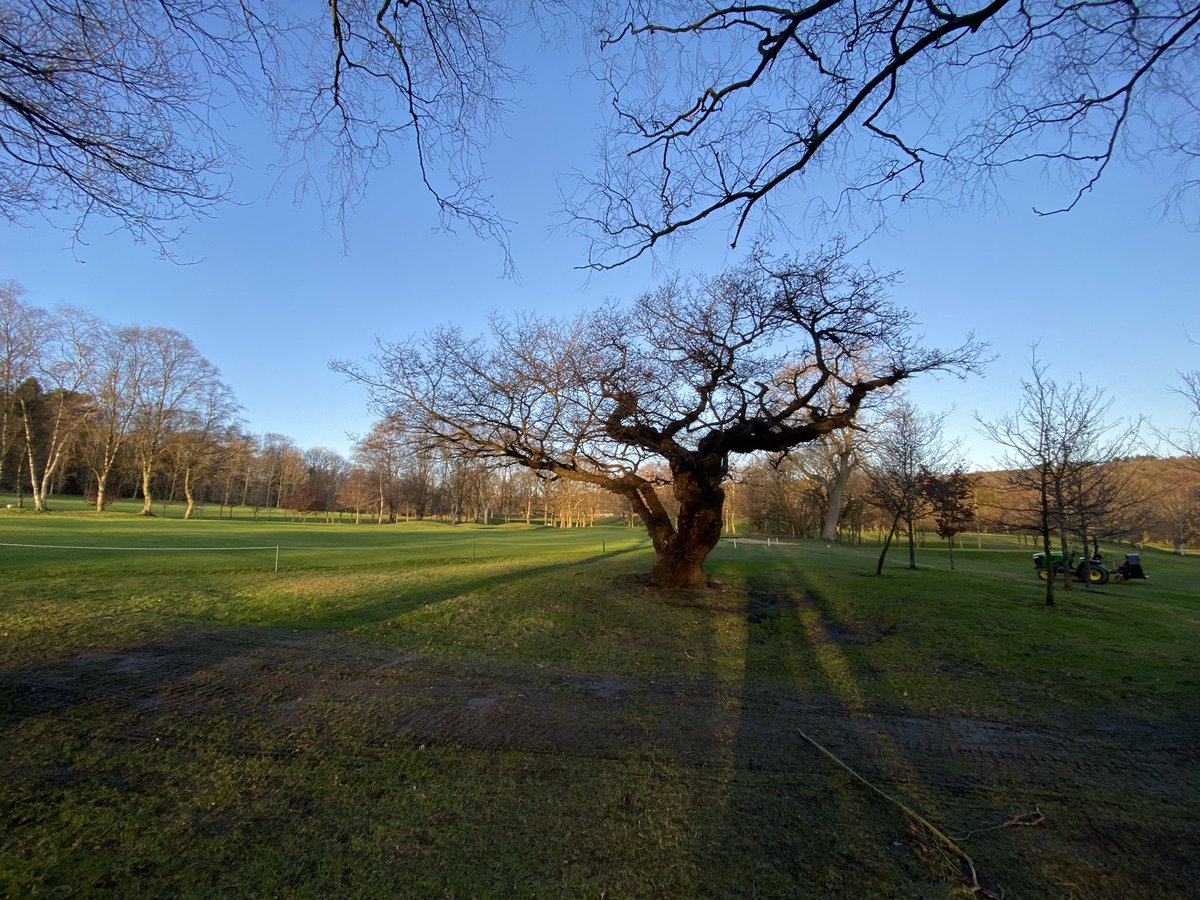 The great clear up has begun. Never seen so much damage on a course from one storm. We’re out inspecting every tree today and tidying up what we can. The course should be open again from tomorrow. Thank god the old oak on 14 survived 🙌