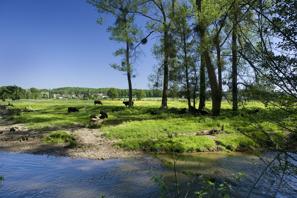 COostwegel's tweet photo. Na de stormen komt de lente …..@Sint_Gerlach #Ingendael #Geuldal @magnifiekZL https://t.co/HqaEmrzIat