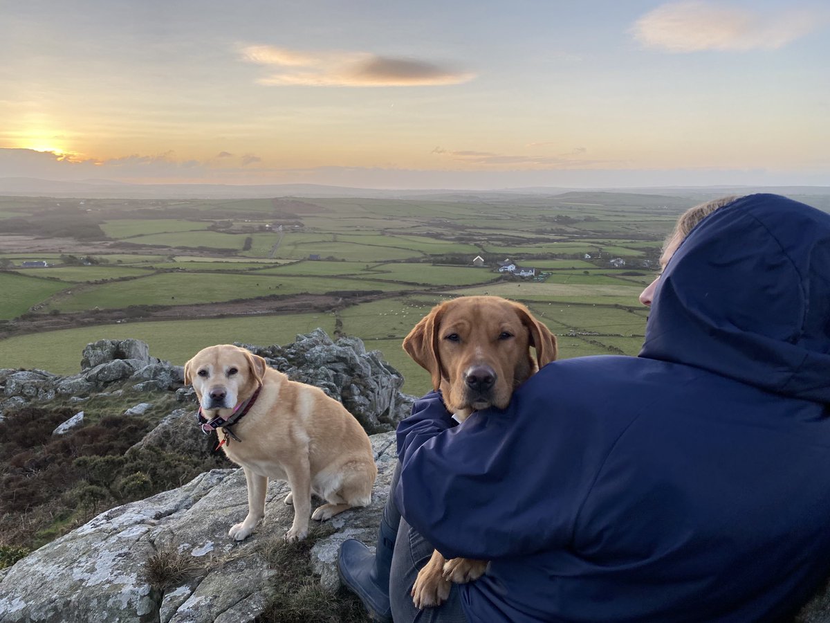 Way to start a week! #HappyMonday #Wales #Trehilyn ⁦<a href="/survival_wisdom/">Survival Wisdom</a>⁩ ⁦<a href="/TheUpcycled/">The Upcycled Home Co</a>⁩ #dogsoftwitter #Pembrokeshire #StormCorrie