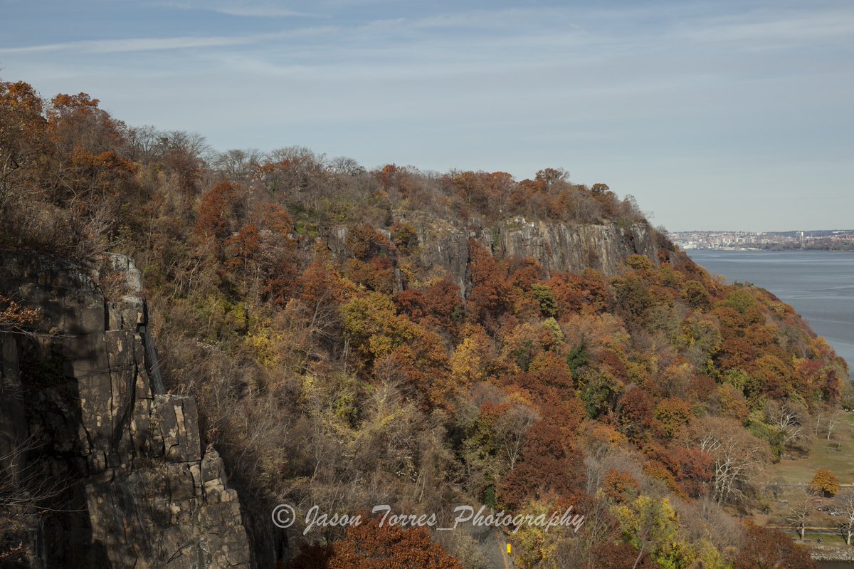 Jason Torres tweet media