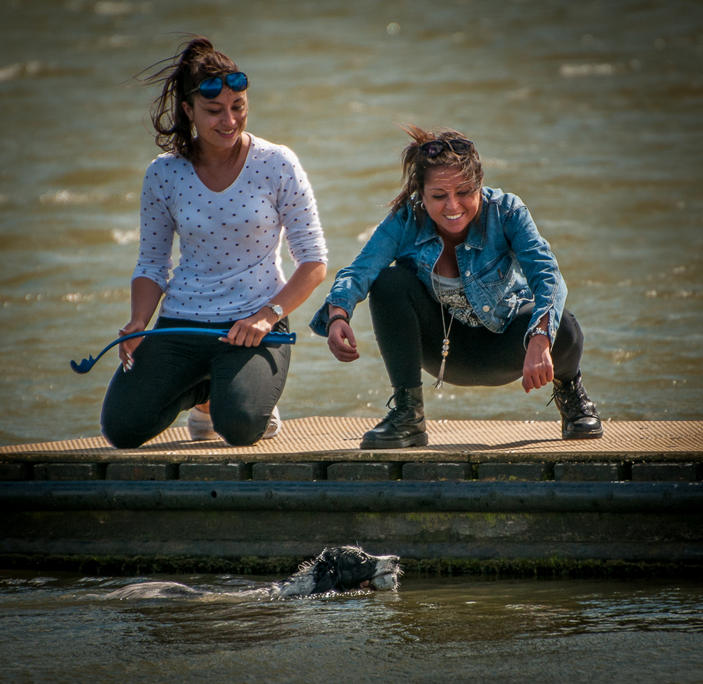 BebingtonPS's tweet photo. Winner of the recent 'Relaxation' competition was David Kelly with 'Swimming Lesson'. See all of the prize winners in the website gallery at https://t.co/7kEKCpiHBA https://t.co/47eJVdz3BE