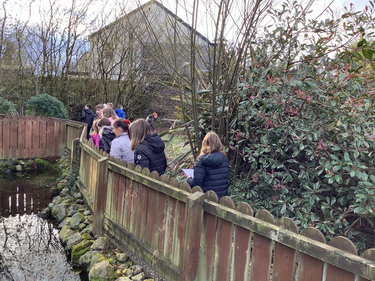 SpiresIPS's tweet photo. We had great fun participating in the Big Bird Watch. https://t.co/yhCN7tdRrN