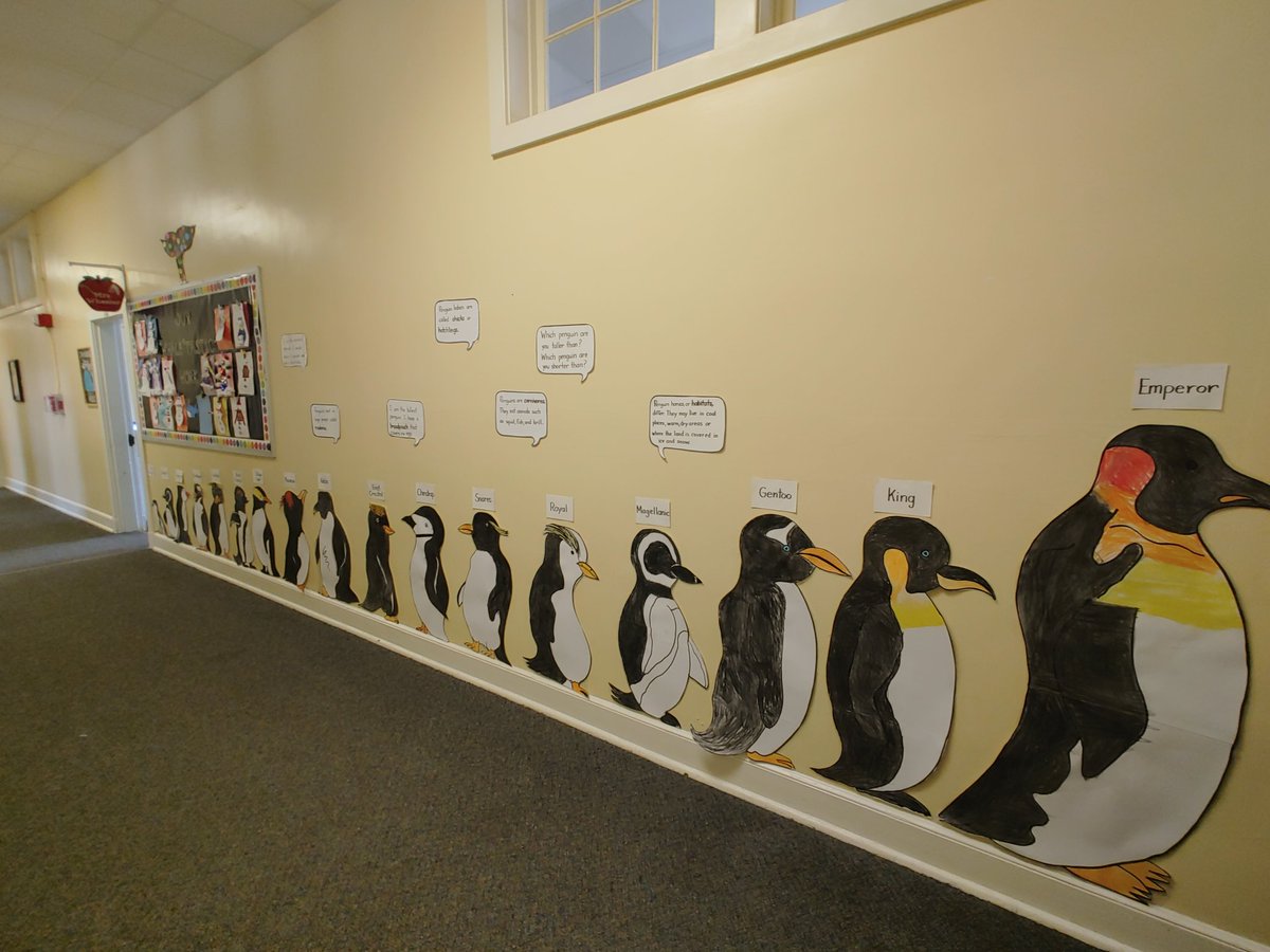 Guess what our first graders have been discussing in their classes some? Too cute!! Did you know that  emperor penguins are the largest penguins and can be as tall and heavy as a 2nd grader?!