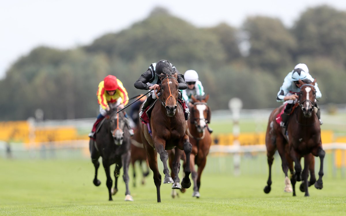 SkySportsRacing's tweet photo. 🏇 Al Zaraqaan
🏇 Fancy Man
🏇 Fox Tal
🏇 Harrovian
🏇 King Of The South
🏇 Living Legend
🏇 Rose Of Kildare
🏇 Starry Eyes

Eight entered for Saturday's Listed Winter Derby Trial at @LingfieldPark, live on Sky Sports Racing https://t.co/P3f4e61ujz