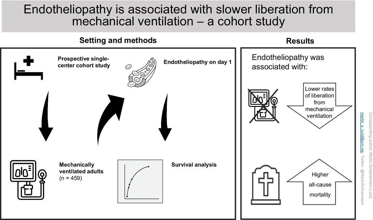 MartinSchnemann's tweet photo. Our paper on #endotheliopathy in acute respiratory failure is out in @Crit_Care. Full paper lives here: https://t.co/2Zvm6uyjRY #CritCare #ICU #openaccess 

Short 🧵on the paper below: https://t.co/gXbCdIvcxt