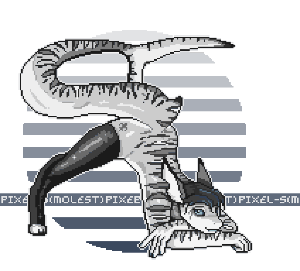 The Pixel-s tweet media