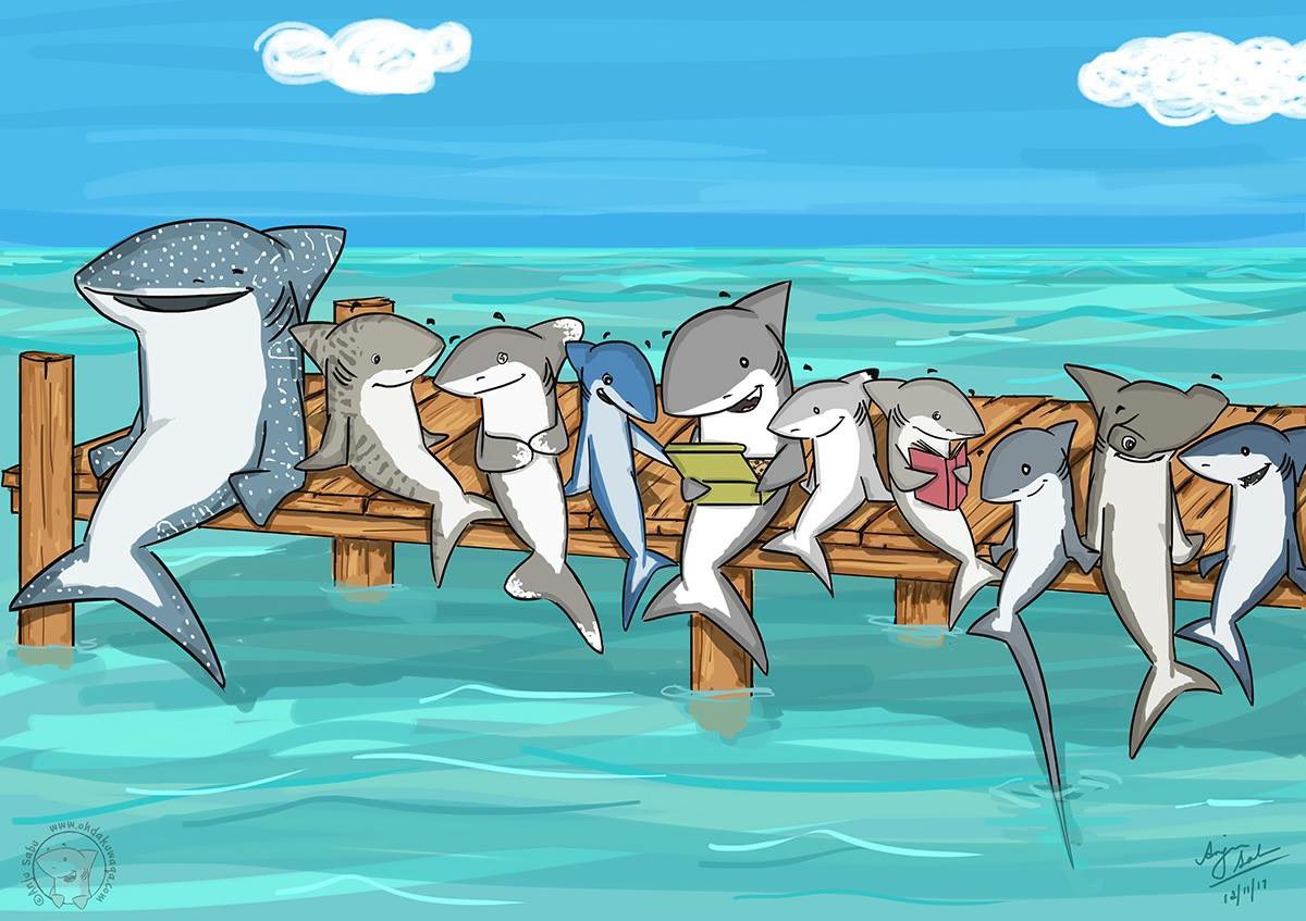 Anju Sabu🦈 (@ohdakuwaqa) on Twitter photo My favourite shark species! #SundayFishSketch My favourite shark species! #SundayFishSketch