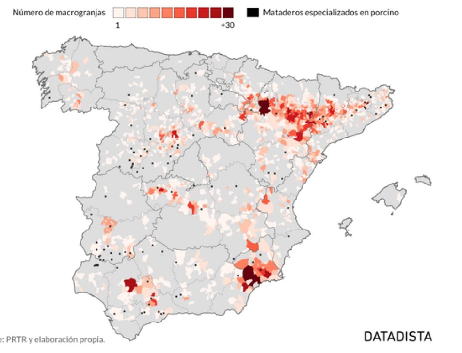 Gente de Murcia - Página 42 FKb3CeeWUAA0BVU?format=jpg&name=medium