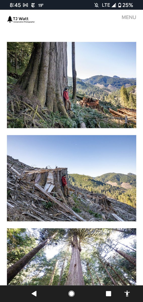 JimMcWilliams5's tweet image. Before and after shot from @TJWattPhoto -- WOW, excellent work! Thank you for documenting this travesty.

#SustainableLogging? I think not. 

@PooterheadPharm thx.