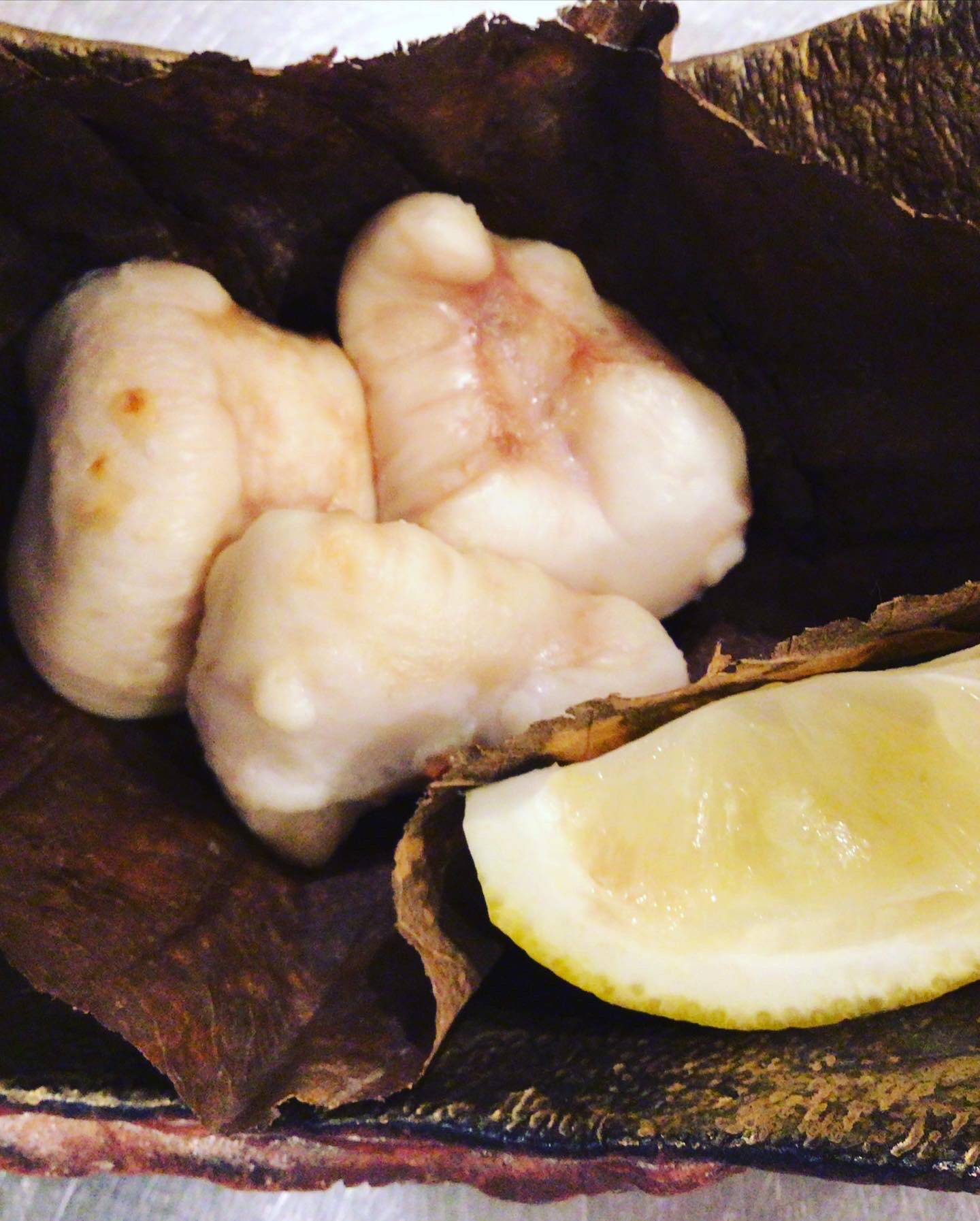 日本料理 よこ倉 とらふぐの白子が 入って来たので 極み特選ふぐコースの焼き物は トラフグの白子焼きをぶりっと お出し致します 日本料理 会席料理 和食 高井戸 浜田山 富士見ヶ丘 久我山 トラフグ白子焼き 極み特選ふぐコース T Co