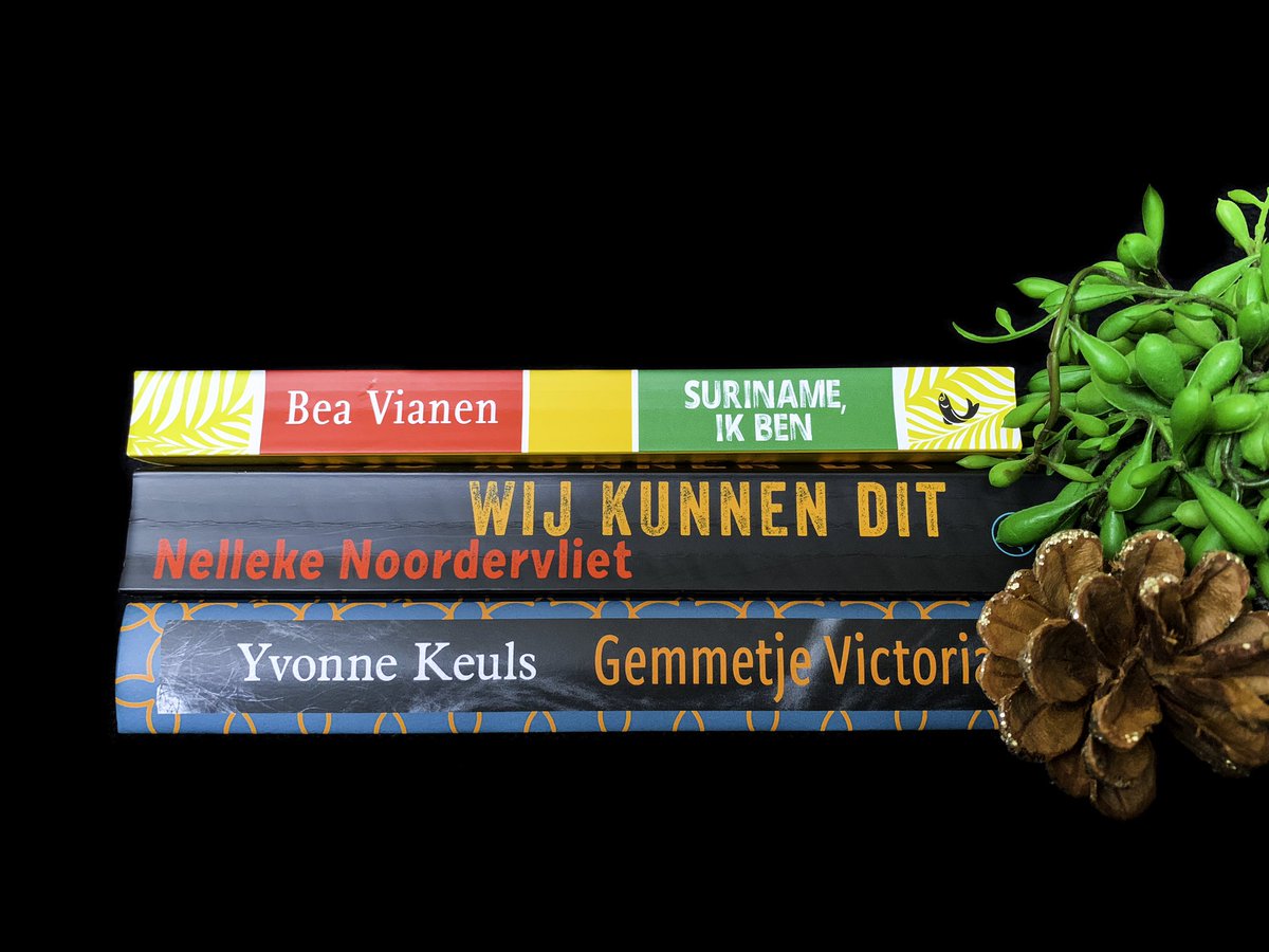 Ik heb in januari 3 romans gelezen en daar enorm van genoten. De topper van de maand is lastig aan te geven, maar ik kan al wel zeggen dat ‘Wij kunnen dit’ de minste van de drie was. De recensie van deze roman zie je snel verschijnen! moontje.eu/wrap-up-januar…