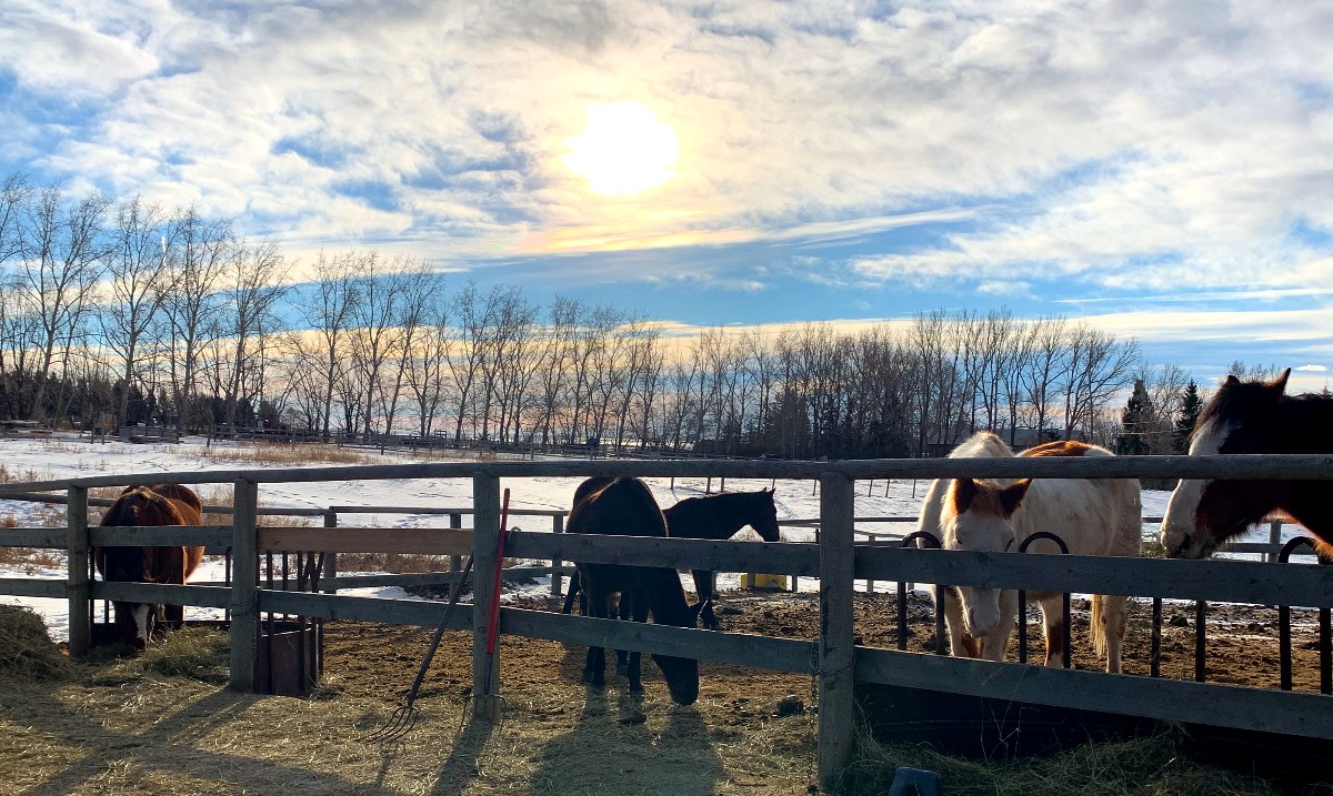 At the ranch we can't decide whether we like the sunrises or sunsets the best! 

#motivationalmonday #entrepreneurship #wisdom #rockingrguestranch