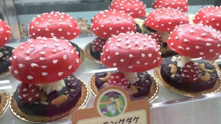 mushroom cake 🍄🌾🎂