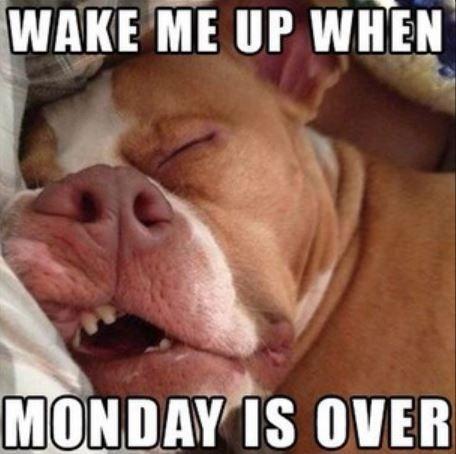 Power94's tweet photo. Have a wonderful week! ~ #ElvisDuranShow on #Power94 https://t.co/RiTXRn6cpZ