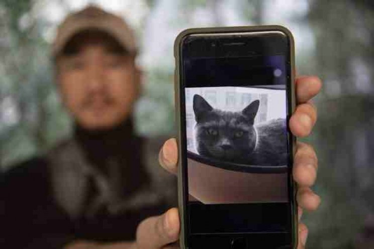 ForeignPost's tweet photo. https://t.co/XTalNKozKa | The purrfect crime: Chinese pet detective seeks lost animals

#fpi
#animals
#Pets 
#cat 
#petdetective
https://t.co/YXo6yHTtbf https://t.co/HWwqSObLIg