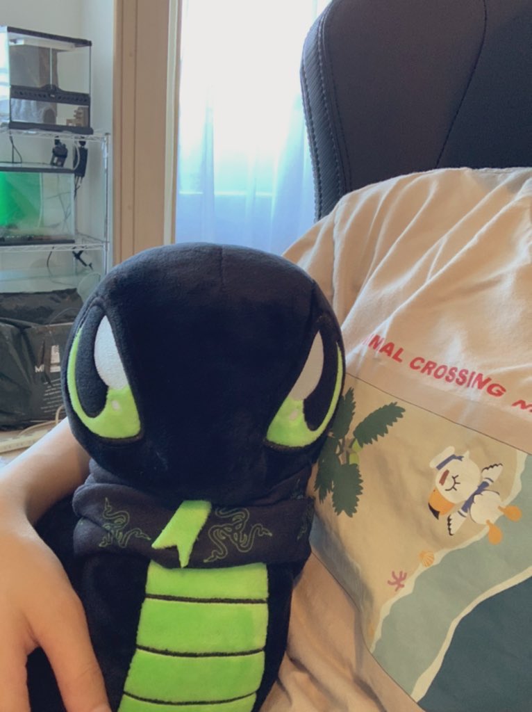neon__tetra's tweet photo. 「ゲーミングってつければ何でもいいと思ってそう」ってよく見かけるけど、
マウスやキーボード、ヘッドセットとかで良い製品を作りながらも、他社とは違ったライフスタイル方面でも色んな製品を出して攻めていくRazer、本当に好き🥰
Razerって本当にすごいしかっこいいよな✨
好きすぎる😍💚
#Razer https://t.co/FLy6ZOjn58