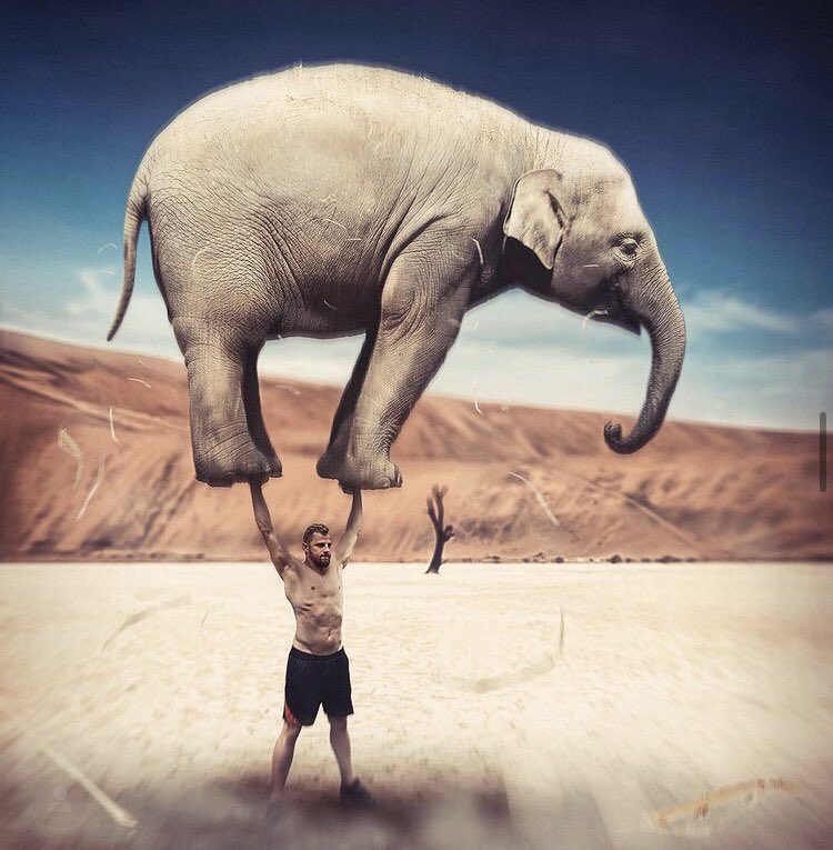 Ich hab mir überlegt, dass ich, neben den Filmplakaten, auch einfachere Bildcomposings zu kleineren Preisen anbieten will. 

Wer also schon immer mal auf einer Rakete fliegen, in einem U-Boot sitzen, oder was ganz anderes möchte, darf sich ab sofort gerne melden. :)