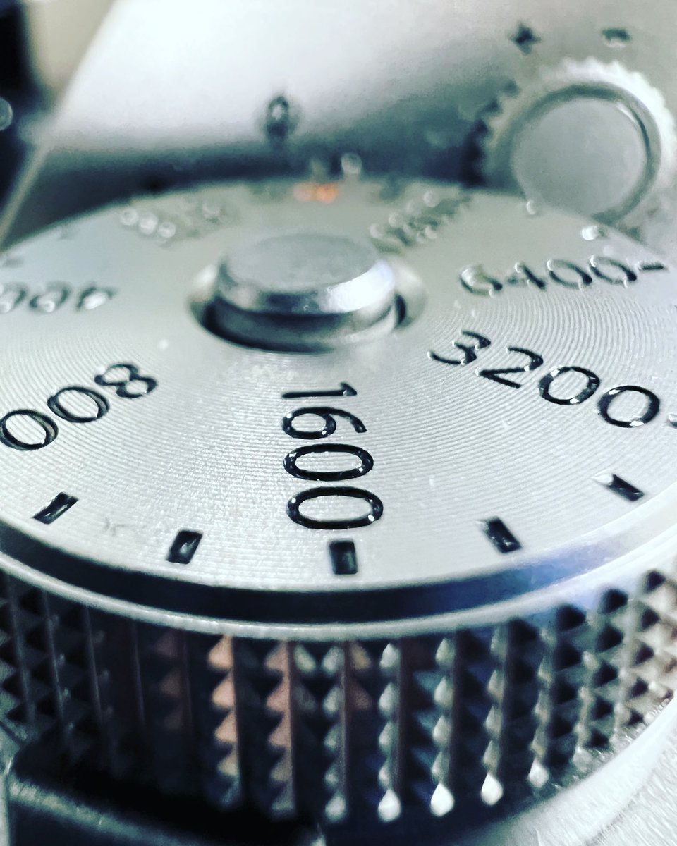 Little #macromonday here. <a href="/FujifilmUS/">Fujifilm America</a> takes great pics and looks great in them. Remind you of anyone 😘