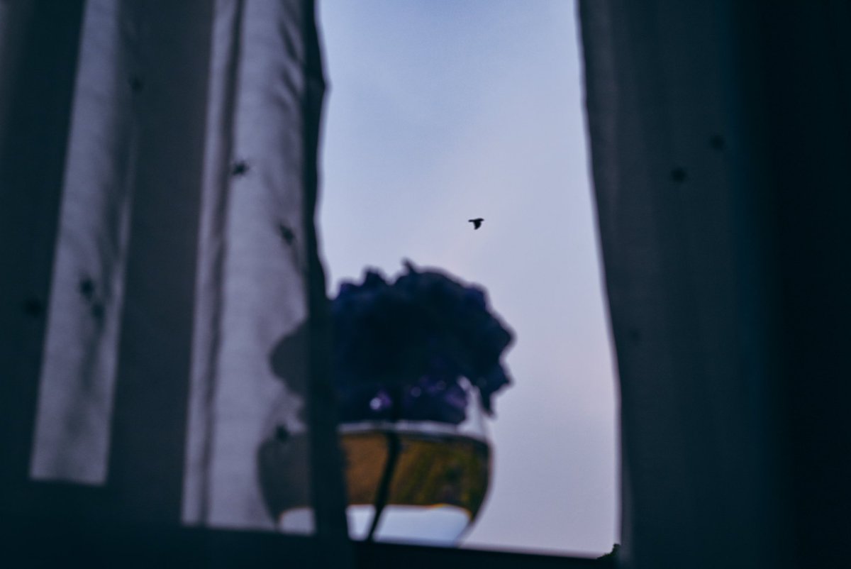 眠れない夜、朝焼けに残る星、明日の君と僕との届かない距離。