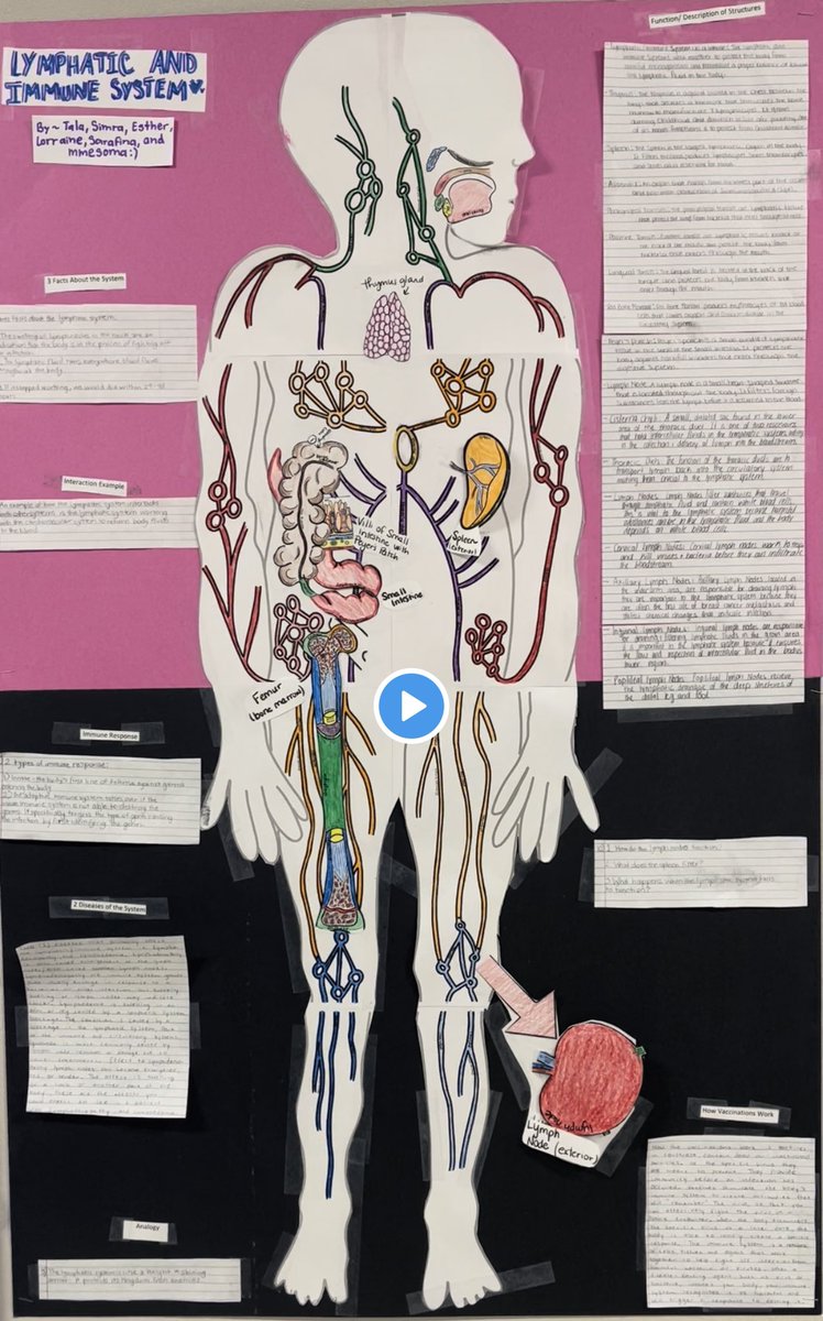 RandleHealthCTE's tweet photo. @RandleHS Med Term students worked together w/peers to explore Lymphatic System Anatomy! They all did wonderful! #FutureHealthProfessionals🩺 @LamarCISDCTE @LamarCISD #LionPride 🖤🤍🦁 https://t.co/aMa1QXOwfI
