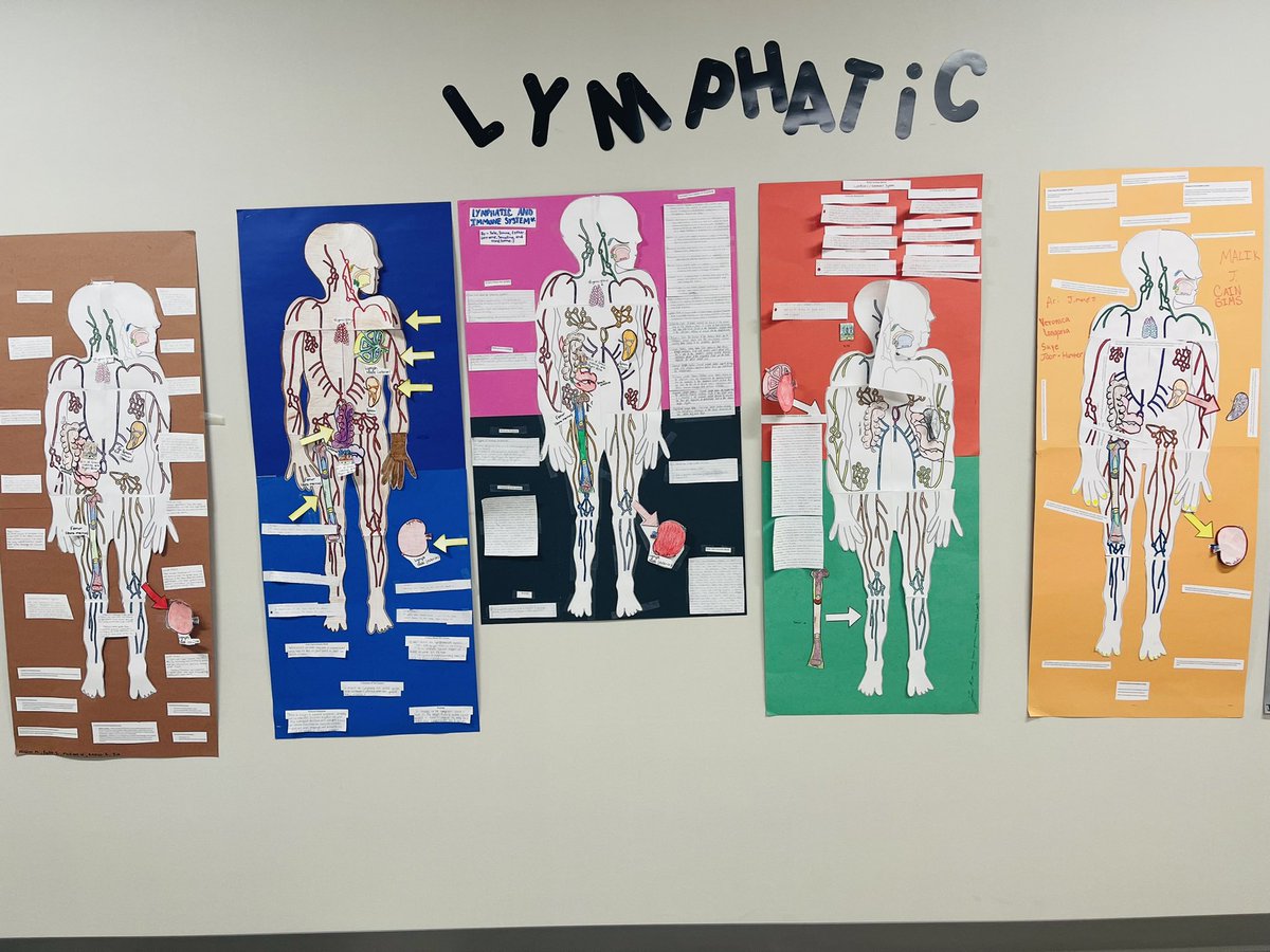 RandleHealthCTE's tweet photo. @RandleHS Med Term students worked together w/peers to explore Lymphatic System Anatomy! They all did wonderful! #FutureHealthProfessionals🩺 @LamarCISDCTE @LamarCISD #LionPride 🖤🤍🦁 https://t.co/aMa1QXOwfI