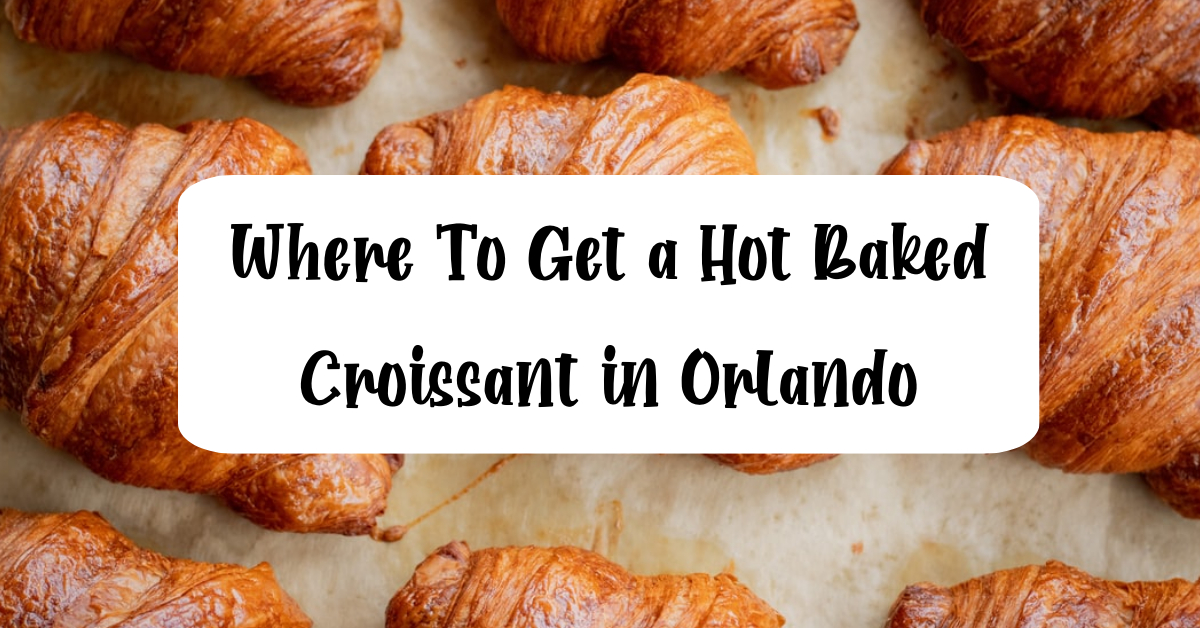 407area's tweet photo. Do you know where to get the best croissants in Orlando?! We’ve created a list of bakeries in Orlando that sell these delicious, buttery treats to satisfy your cravings 😋🥐 

https://t.co/i4s8rzA5Ic

#orlando #croissants #407area #thingstodoinorlando https://t.co/VSeti2EVRi