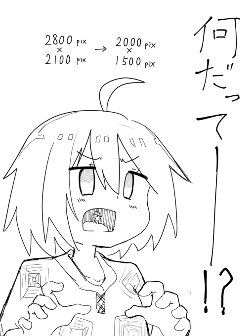 最近、容量削減のためキャンパスサイズを小さくしました。 