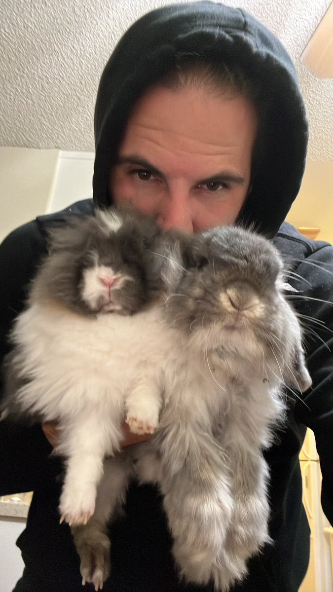 ifskateco.eth tweet media