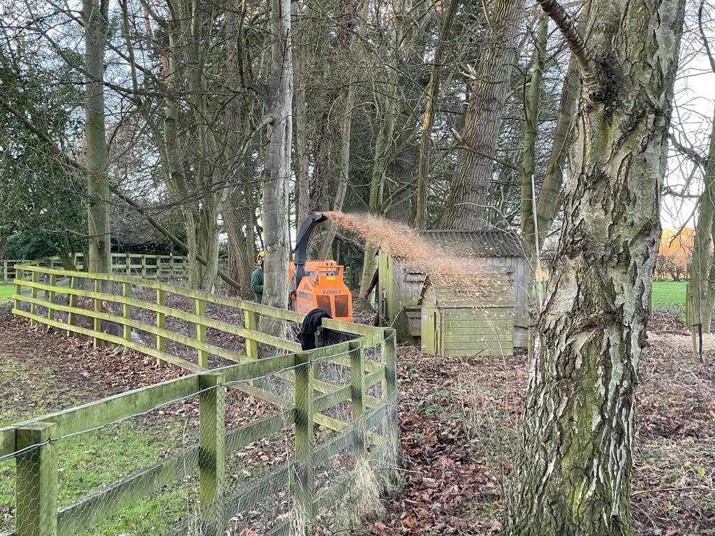 bardseytrees's tweet image. How’s everyone’s weekend been? If any of your trees were affected by the strong winds then get in touch &amp;amp; we’ll be happy to help!

This is another photo of us removing some dead small trees from a plantation in #Spofforth - the same site where we created some habitat piles!🐞🐛🐜