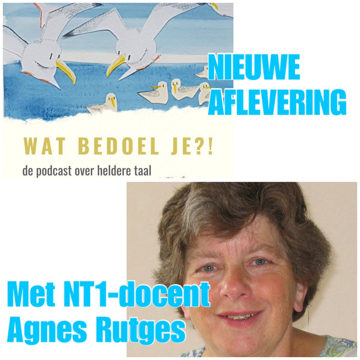 Nieuwe aflevering van #WatBedoelJe, dé #podcast over #helderetaal. We spreken Agnes Rutges, oud-docent voor volwassenen die hun #taal wilden verbeteren (NT1). Luister via je podcast-app of via  watbedoeljepodcast.nl #helderecommunicatie #directduidelijk #heerlijkhelder