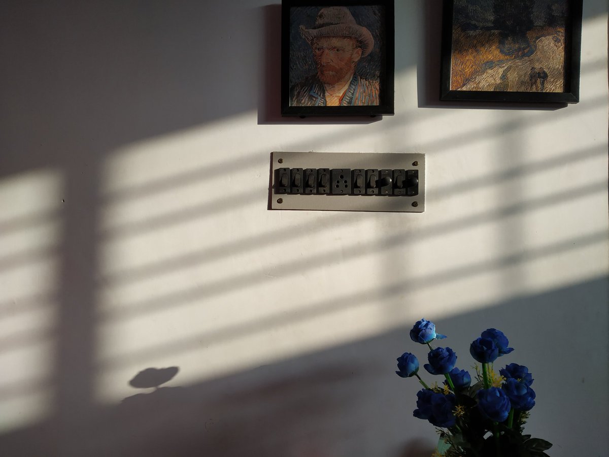 raanaapaa's tweet image. good morning.
#goodmorning #morning #morningsunlight #sunlight #lightandshadow #shadow #grafic